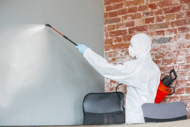 Mold Remediation for Rental Properties in Lathrop, MO
